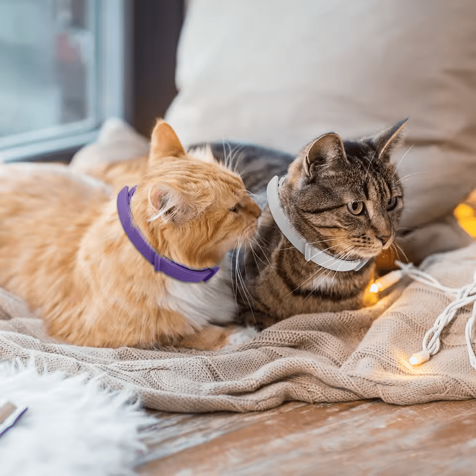 CalmPaws calming collar for cat and dogs - CalmPaws