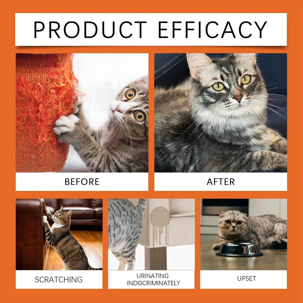 Pet Anti Scratch Spray Restricted Area Scratch Training Stop Sofa Chewing Anxiety Relief Calming Cat Furniture Protector Spray
